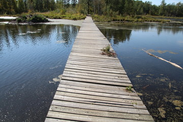 Obraz premium Listing Boardwalk, Elk Island National Park, Alberta