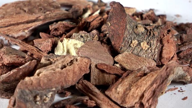 Dehydrated pieces of cuachalalate bark spinning video