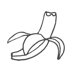 Fruits banana doodle. Vector illustration isolated on white background.