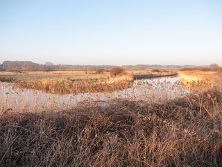 Beautiful countryside Dedham water scene outside nature landscape space