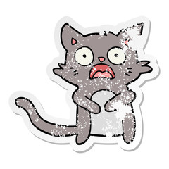 distressed sticker of a cartoon horrified cat