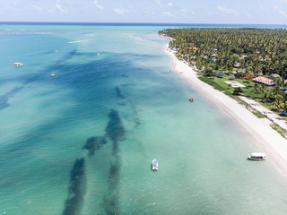 Praia de Carneiros Pernambuco Brasil