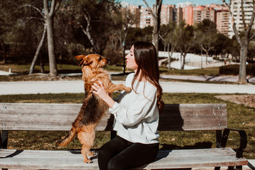 .Beautiful young woman playing outdoors with her little brown adopted dog. Sitting on a bench on a...