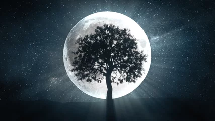 Foto op Plexiglas Jongenskamer 3d illustratie van boom tegen de achtergrond van een volle maan en een ronddraaiend universum