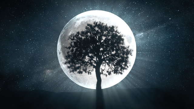 3d illustration of tree against the background of a full moon and a rotating universe around