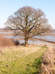 Fingringhoe wick nature reserve outside landscape background space open country countryside