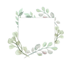 Watercolor frame of branches of medicinal eucalyptus on a white background, hand-painted watercolor. Spring illustration of delicate floral patterns for beautiful design of posters, cards, invitations