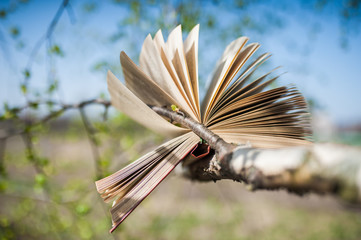 Open romantic book on a tree branch against a background of green foliage and blue sky