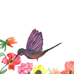 Watercolor drawing of a Hummingbird bird collecting nectar from a hibiscus flower. Весенняя  иллюстрация нежных  тропических растений и птиц для красивого дизайна постеров, открыток, приглашений.