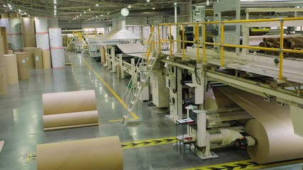 Cardboard Factory. Production of Corrugated Cardboard