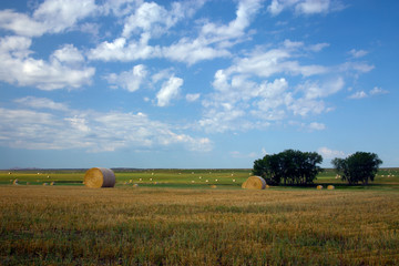 Buffalo Gap Grasslands, South Dakota
