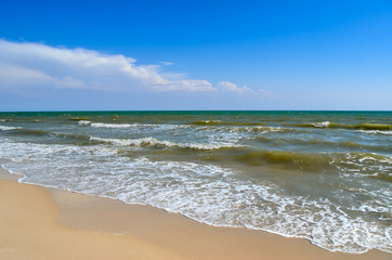 Fototapeta na wymiar Sea waves washed clean beach made of shells. Landscape on a wild beach. The sea in the summer.