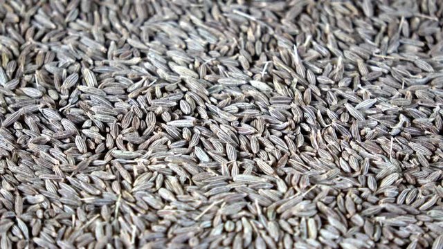 Dehydrated whole cumin spice spinning video