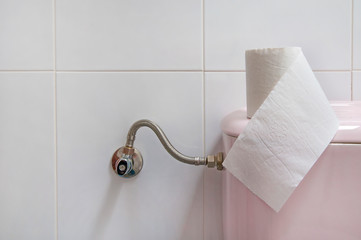 toilet paper roll in the bathroom