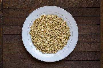 Sprouted buckwheat on white plate.