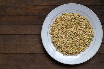 Sprouted buckwheat on white plate with copy space - Right position
