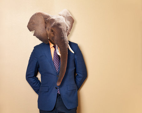 Male elephant in office clothing suit and shirt