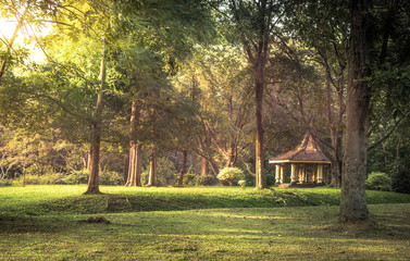 Public park scenery landscape with gazebo sunset sunlight in Royal Garden Peradeniya in Sri Lanka...