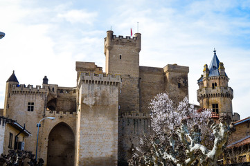 Viaje a la ciudad de Olite España