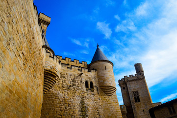 Viaje a la ciudad de Olite España