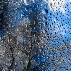 Otoño azul