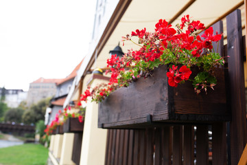 Fototapeta na wymiar Street decorated with wooden flower pots. Empty space