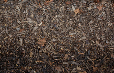 Wet sawdust texture background