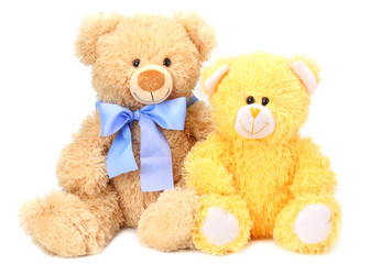 two toy teddy bears isolated on white background