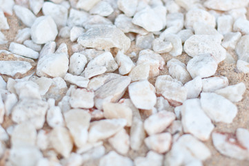 White pebbles background, simplicity, daylight, stones,material nature.