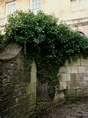 An ivy clad entrance door to a garden