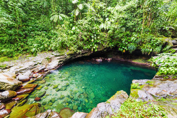 Bassin Paradise pond in Basse Terre jungle in Guadeloupe