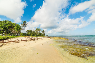Autre Bord beach in Le Moule in Guadeloupe