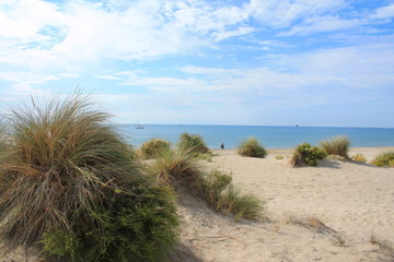 Natural and wild beach with a beautiful and vast area of dunes, Camargue region in the South of Montpellier, France