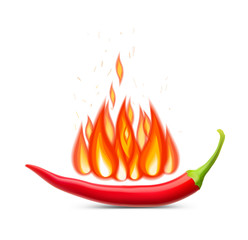 Realistic red chili pepper with fire. Vector illustration isolated on white background. Ready for your design. EPS10.	