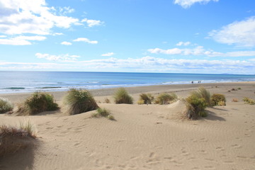 Natural and wild beach with a beautiful and vast area of dunes, Camargue region in the South of Montpellier, France