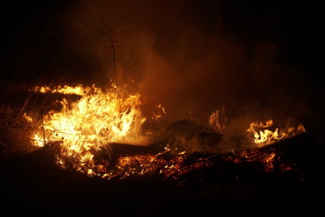 dry grass burns in the night