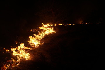 dry grass burns in the night