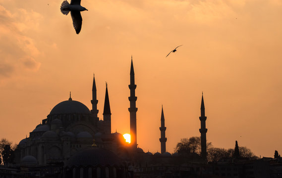 Estambul, paisajes y personas