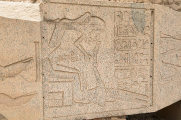 part of stella.  Great Hypostyle Hall of  Temple of Karnak. Luxor, Egypt.