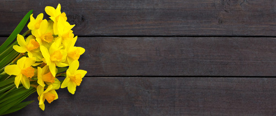 Fototapeta premium Wide Angle Rustic background with Yellow daffodils flowers