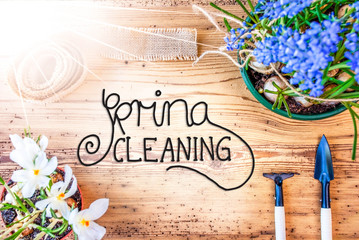 Sunny Spring Flowers, Calligraphy Spring Cleaning, Wooden Background