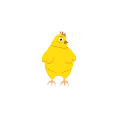 Cute fat yellow Easter chicken cartoon illustration.