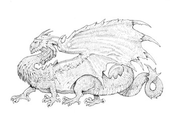Dragon with wings. Fantasy ink illustration.