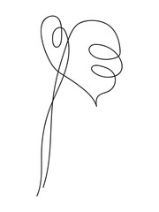 Monstera leaf continuous line drawing. One line . Hand-drawn minimalist illustration, vector. - 252706506