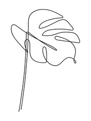 Monstera leaf continuous line drawing. One line . Hand-drawn minimalist illustration, vector. - 252706528