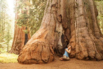 Hiker in Sequoia national park in California, USA