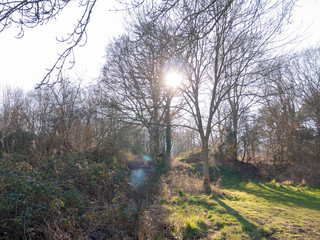 Fingringhoe wick nature reserve outside landscape background space open country countryside