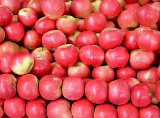 pile of red apples