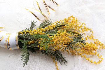 Spring flowers mimosa light background, wishes of good morning and happy women's day