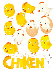 cartoon scene with set of chicken on white background - illustration for children